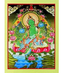 Green Tara - Unframed Thangka Poster - Reprint on Paper