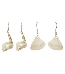2 Pairs of Shell Earrings