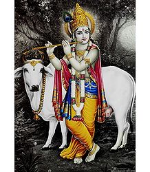 Cowherd Krishna Poster