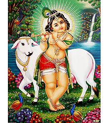 Young Krishna - Unframed Glitter Poster 
