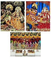 Radha Krishna - Set of 3 Photo Print