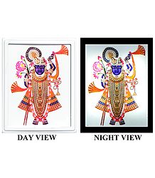 Dwarkadheesh Plug-on Night Lamp