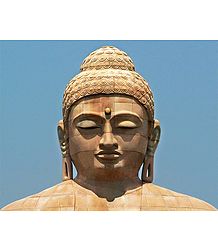 Face of Buddha, Bodhgaya - Bihar, India