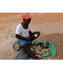 Coconut Seller from Mangalore -  Karnataka, India