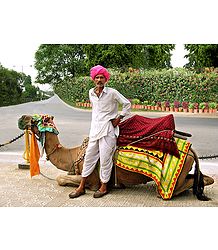 Lonely Traveler with Camel from Rajasthan
