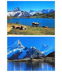 Bachalpsee Lake in Grindelwald, Switzerland - Set of 2 Postcards