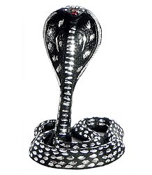 Snake of Shiva - White Metal
