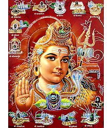 Shiva and the Twelve Jyotirlingas