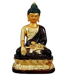 Golden Buddha with Brown Robe
