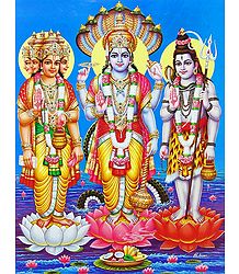 Trinity - Brahma, Vishnu, Shiva