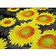 Sun Flower Print on Glazed Cotton Double Bedspread with 2 Pillow Covers