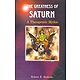 The Greatness of Saturn - A Therapeutic Mythic