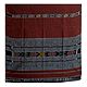 Brown Cotton Silk Stole with Ikkat Design Pallu