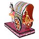 Horse Cart Carrying a Lady - Kondapalli Doll