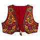 Multicolor Embroidery on Red Ladies Jacket
